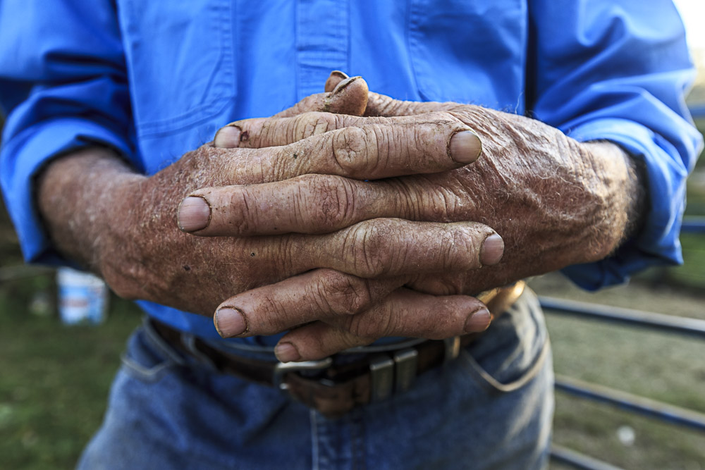 Weathered hands of an outback station worker