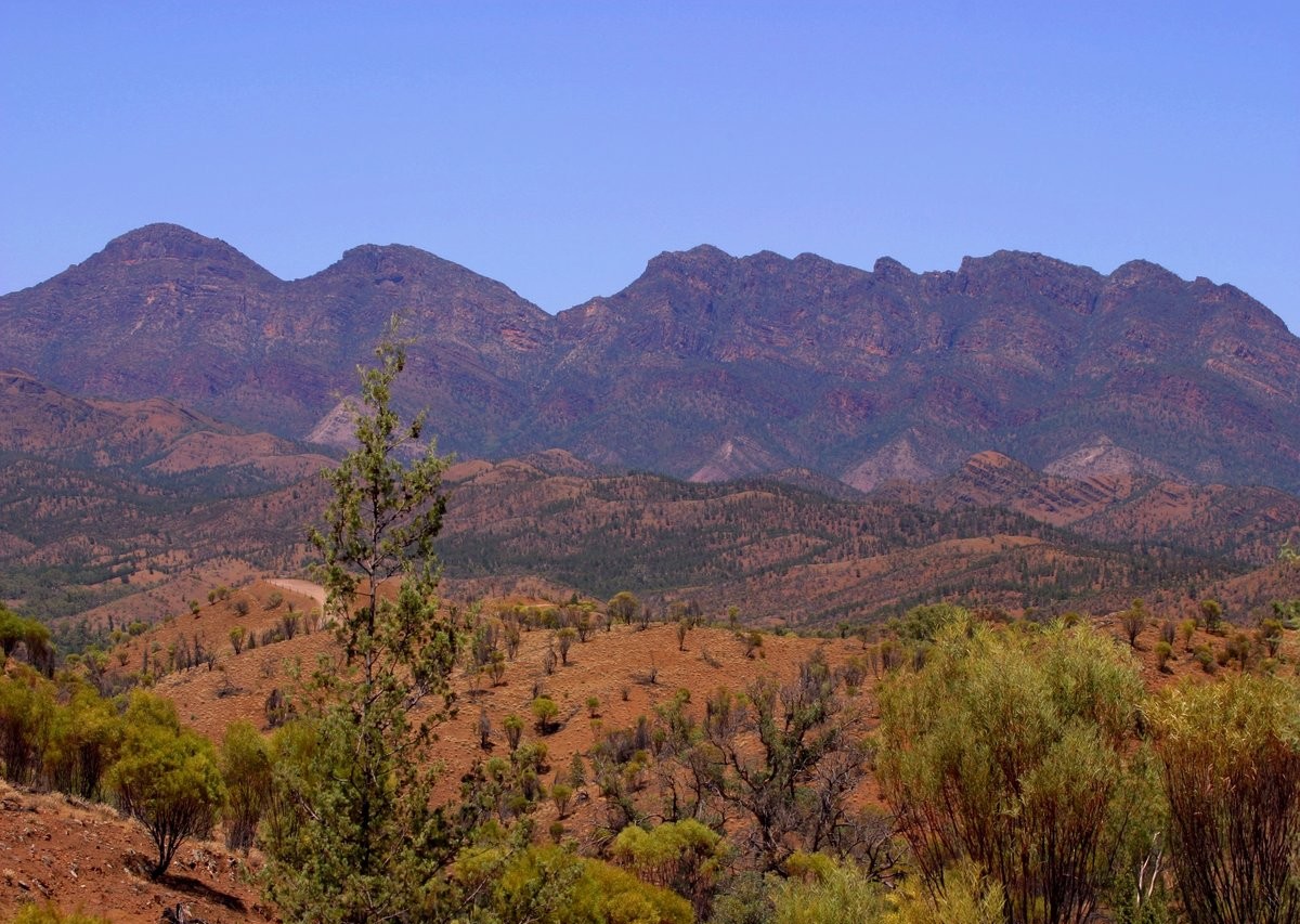 Rugged peaks of the Flinders Ranges in afternoon light