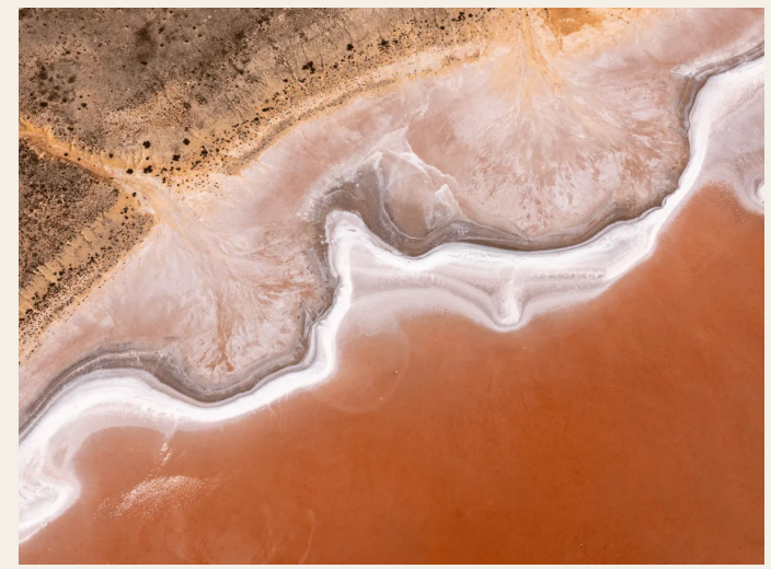 Aerial close-up of a pink lake's salt-crusted edge