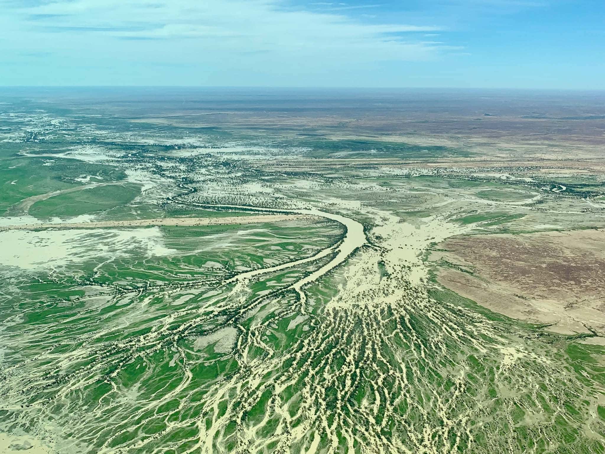 Floodwater channels braiding across the plains toward Lake Eyre, from the air