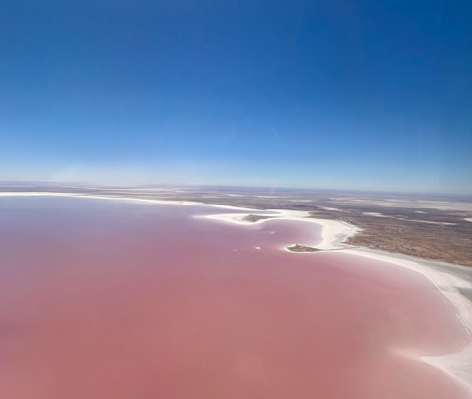 Pink water and salt flats of Lake Eyre from the air