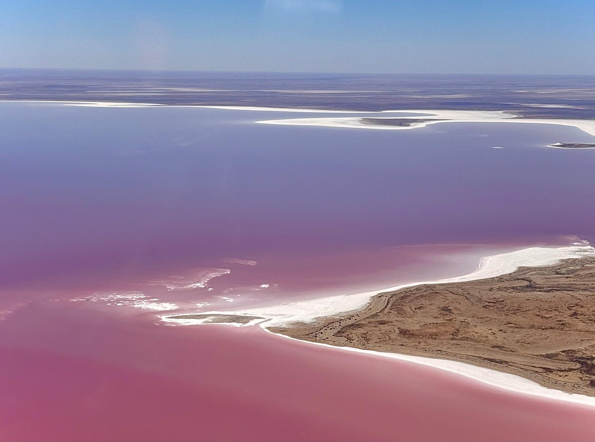Aerial view of Lake Eyre's pink waters and salt shoreline