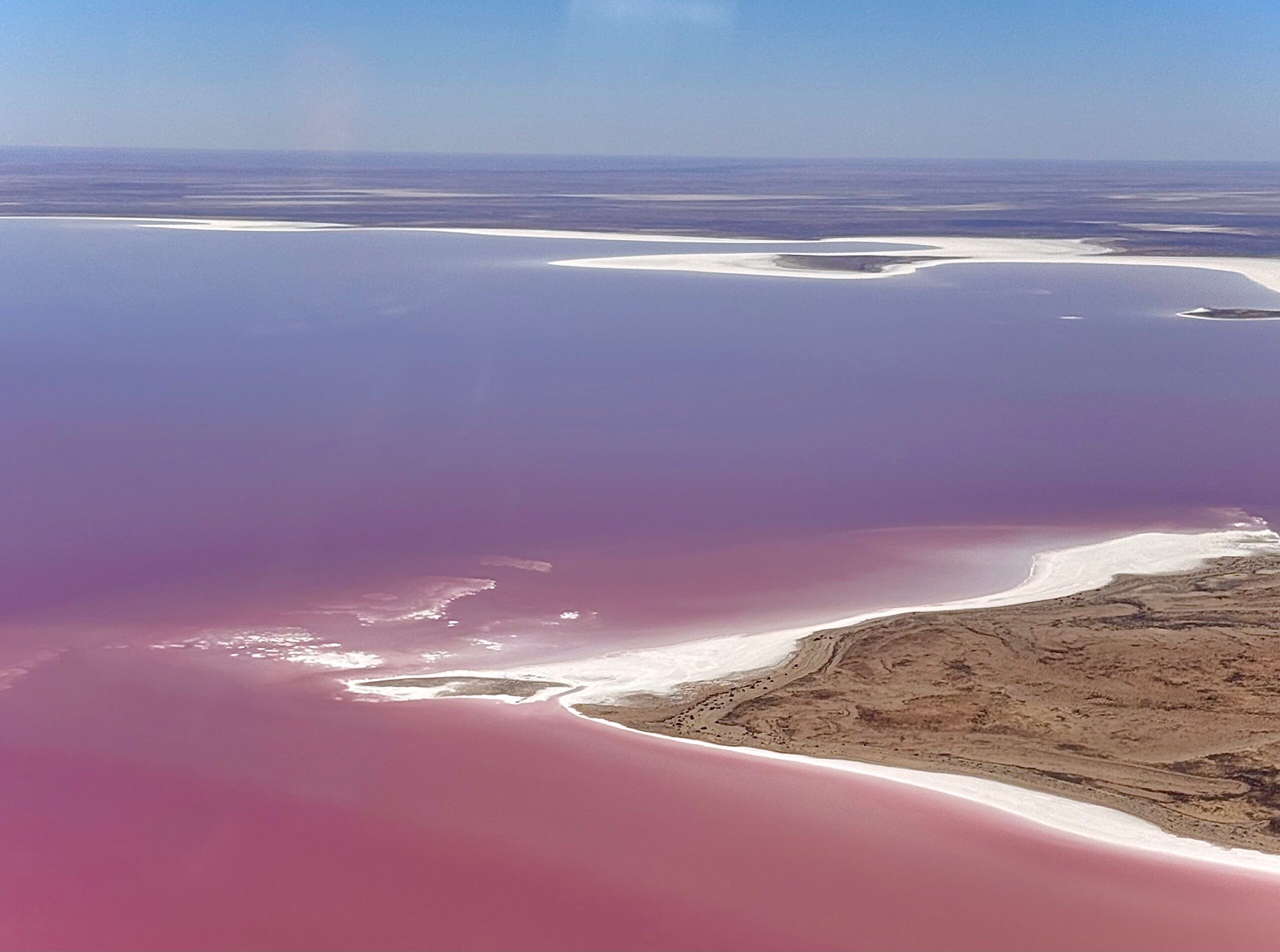 Pink waters and salt shoreline of Lake Eyre from the air