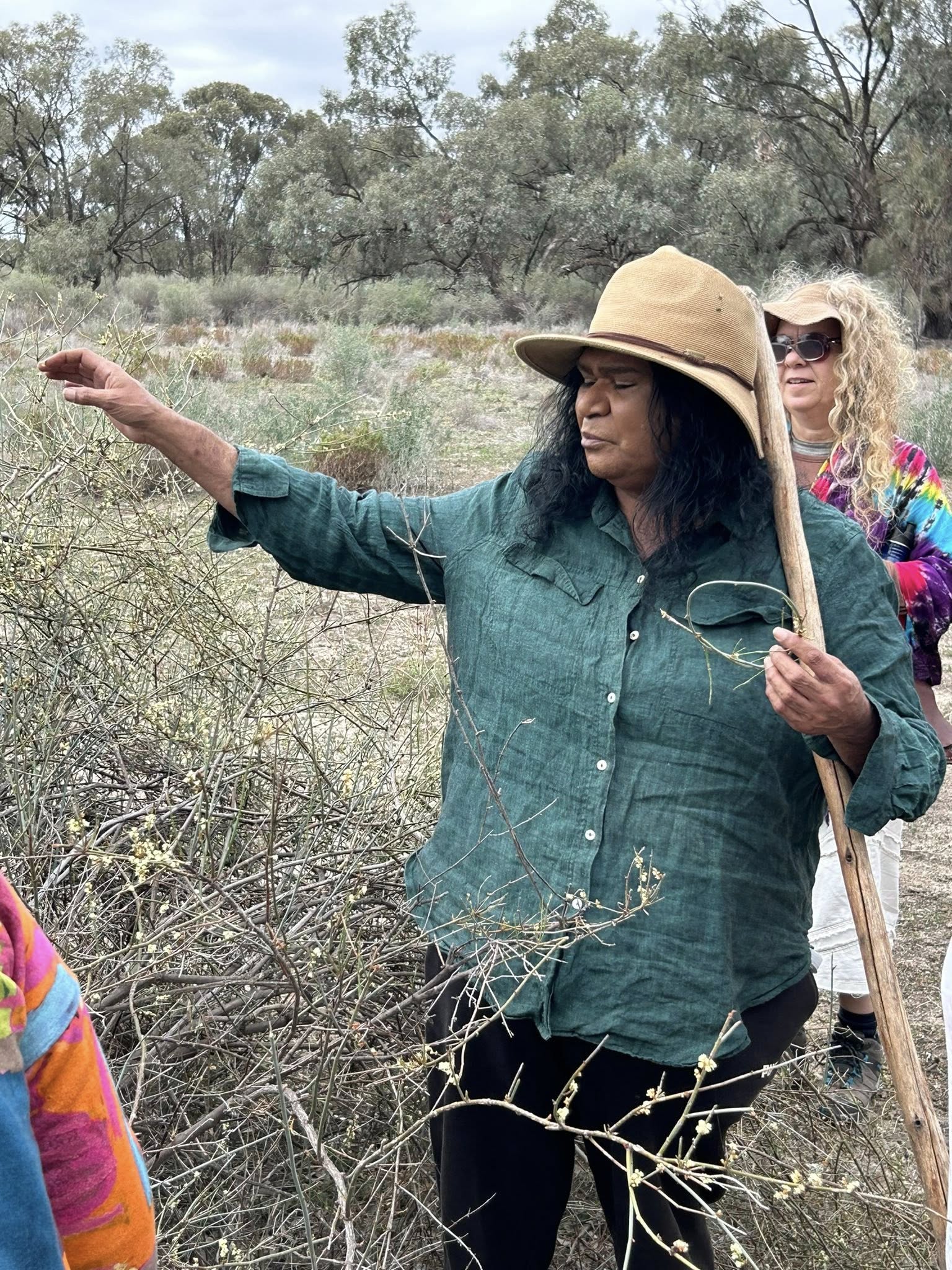 Cultural guide pointing out plants on a guided bush walk