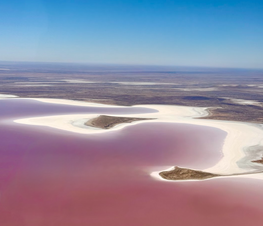 Aerial view of pink water and white salt shores on Kati Thanda–Lake Eyre