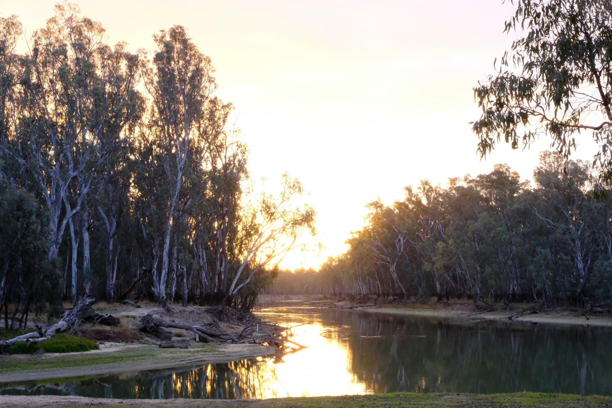 Sunset reflected in a creek lined with river red gums, like Cooper Creek at Innamincka