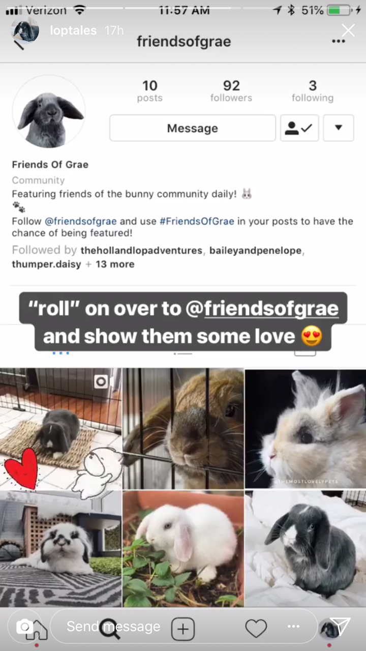 Image from the article: Why You Should Care About Instagram Stories