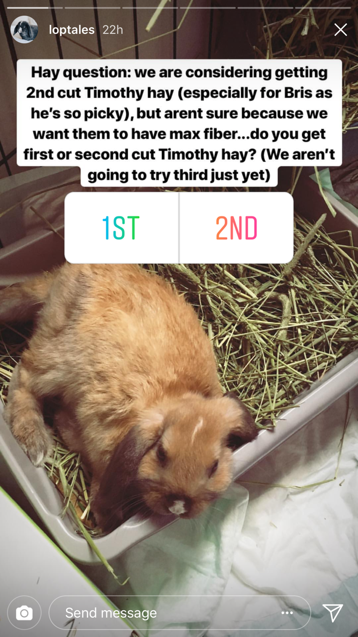 Image from the article: Why You Should Care About Instagram Stories